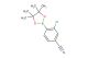 3-chloro-4-(4,4,5,5-tetramethyl-1,3,2-dioxaborolan-2-yl)benzonitrile