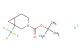 potassium (3-(tert-butoxycarbonyl)-3-azabicyclo[4.1.0]heptan-1-yl)trifluoroborate