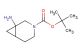 tert-butyl 1-amino-3-azabicyclo[4.1.0]heptane-3-carboxylate