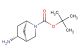 tert-butyl (1S,4S,5R)-rel-5-amino-2-azabicyclo[2.2.1]heptane-2-carboxylate