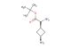 cis-3-(boc-aminomethyl)cyclobutylamine