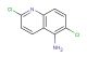 2,6-dichloroquinolin-5-amine