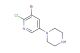 1-(5-bromo-6-chloropyridin-3-yl)piperazine