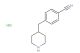 4-(piperidin-4-ylmethyl)benzonitrile hydrochloride