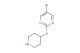 5-bromo-2-(piperidin-4-yloxy)pyrimidine