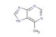 6-methyl-7H-purine