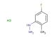 (5-fluoro-2-methylphenyl)hydrazine hydrochloride