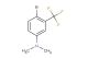 4-bromo-N,N-dimethyl-3-(trifluoromethyl)aniline