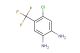 4-chloro-5-(trifluoromethyl)benzene-1,2-diamine