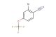2-bromo-4-(trifluoromethoxy)benzonitrile