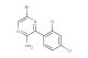 5-bromo-3-(2,4-dichloro-phenyl)-pyrazin-2-ylamine