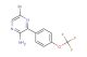 5-bromo-3-(4-trifluoromethoxy-phenyl)-pyrazin-2-ylamine