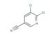 5,6-dichloronicotinonitrile