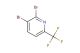 2,3-dibromo-6-(trifluoromethyl)pyridine