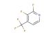 2,3-difluoro-4-(trifluoromethyl)pyridine