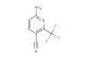 6-amino-2-(trifluoromethyl)nicotinonitrile