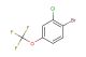 2-chloro-4-(trifluoromethoxy)bromobenzene