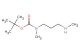 tert-butyl methyl(3-(methylamino)propyl)carbamate
