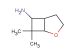 7,7-dimethyl-2-oxabicyclo[3.2.0]heptan-6-amine