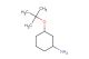 3-(tert-butoxy)cyclohexan-1-amine