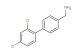 (2',4'-dichloro-[1,1'-biphenyl]-4-yl)methanamine
