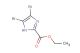 ethyl 4,5-dibromo-1H-imidazole-2-carboxylate