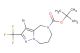 tert-butyl 3-bromo-2-(trifluoromethyl)-7,8-dihydro-4H-pyrazolo[1,5-a][1,4]diazepine-5(6H)-carboxylate