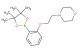 4-(2-(2-(4,4,5,5-tetramethyl-1,3,2-dioxaborolan-2-yl)phenoxy)ethyl)morpholine