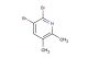 2,3-dibromo-5,6-dimethylpyridine