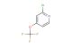 2-chloro-4-(trifluoromethoxy)pyridine