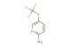 5-(Trifluoromethoxy)pyridin-2-amine