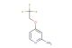 4-(2,2,2-Trifluoroethoxy)pyridin-2-amine