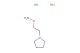 O-(2-(pyrrolidin-1-yl)ethyl)hydroxylamine dihydrochloride