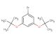 1-bromo-3,5-di-tert-butoxybenzene