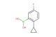 (2-cyclopropyl-5-fluorophenyl)boronic acid