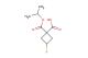 3-fluoro-1-(isopropoxycarbonyl)cyclobutane-1-carboxylic acid