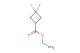 ethyl 3,3-difluorocyclobutane-1-carboxylate