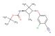 tert-butyl ((1R,3R)-3-(3-chloro-4-cyanophenoxy)-2,2,4-trimethylcyclobutyl)carbamate