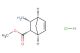 methyl (1S,2S,3R,4R)-3-aminobicyclo[2.2.1]hept-5-ene-2-carboxylate hydrochloride