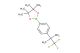 4,4,5,5-Tetramethyl-2-(4-(1,1,1-trifluoro-2-methylpropan-2-yl)phenyl)-1,3,2-dioxaborolane