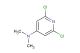 2,6-dichloro-N,N-dimethylpyridin-4-amine