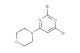 4-(2,6-dibromopyrimidin-4-yl)morpholine