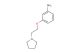 3-(2-(pyrrolidin-1-yl)ethoxy)aniline