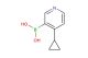 (4-cyclopropylpyridin-3-yl)boronic acid