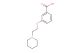 3-(2-(piperidin-1-yl)ethoxy)benzoic acid