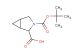 3-(tert-butoxycarbonyl)-3-azabicyclo[3.1.0]hexane-2-carboxylic acid