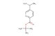 tert-butyl 5-(1-aminoethyl)pyridine-2-carboxylate