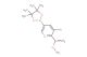 (S)-3-bromo-2-(1-methoxyethyl)-5-(4,4,5,5-tetramethyl-1,3,2-dioxaborolan-2-yl)pyridine