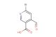 6-bromo-4-formylpyridine-3-carboxylic acid