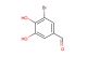 3-bromo-4,5-dihydroxybenzaldehyde